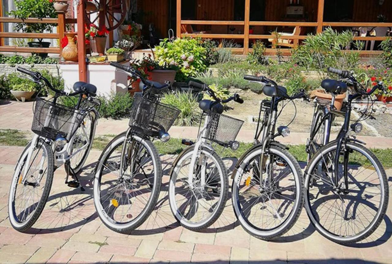 Hotel Gemenc Vendeghaz Hercegszanto Zewnętrze zdjęcie